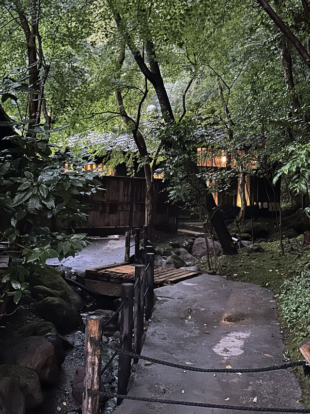 深山裡的一夜，與自然共眠的靜謐旅程
