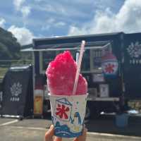 대마도 히타카츠 쓰시마섬/ 쓰시마섬 유명하고 너무 예쁜 미우다해변 🌊🏖️