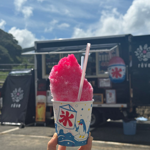 대마도 히타카츠 쓰시마섬/ 쓰시마섬 유명하고 너무 예쁜 미우다해변 🌊🏖️