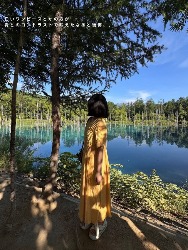 札幌⇨富良野・美瑛の旅🚗