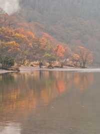 【穴場の紅葉】観光攻略付‼️山深い静寂の湖へ！🍁🏞️✨赤城山が生んだ神秘のカルデラ湖畔を歩く🚶‍♀️