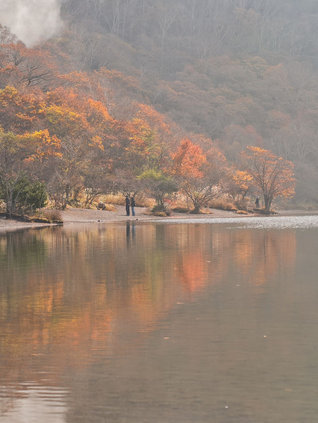 【穴場の紅葉】観光攻略付‼️山深い静寂の湖へ！🍁🏞️✨赤城山が生んだ神秘のカルデラ湖畔を歩く🚶‍♀️