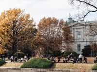 🏛 TOKYO NATIONAL MUSEUM — The Heart of Japanese Art & Culture