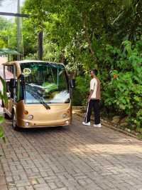 The Palace Luxury Resort: Sylhet’s Glamorous Getaway ✨🏰