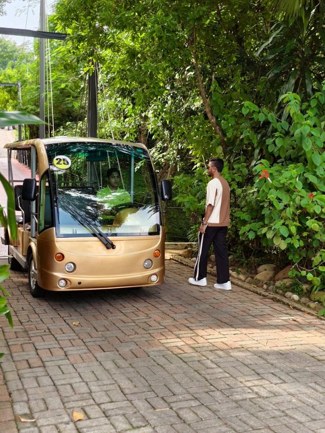 The Palace Luxury Resort: Sylhet’s Glamorous Getaway ✨🏰 The Palace Luxury Resort: Sylhet’s Glamorous Getaway ✨🏰