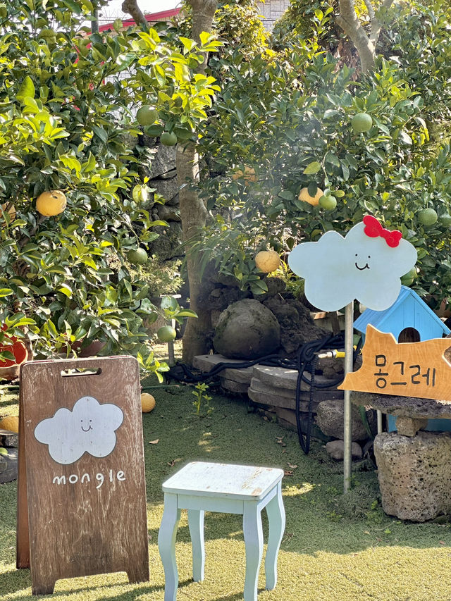 🍊濟州島必買伴手禮第一名🥇雲朵餅乾☁️‼️‼️ 🍊濟州島必買伴手禮第一名🥇雲朵餅乾☁️‼️‼️