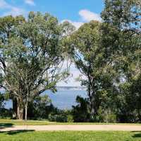 Kings Park and Botanic Garden 