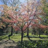 Arboretum Kalmthout,