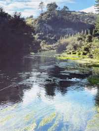 💙 Blue Spring: Earth’s Liquid Crystal in Pure NZ! 🌿