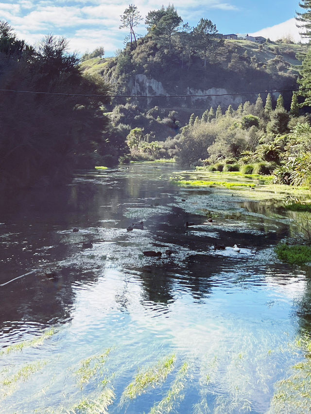 💙 Blue Spring: Earth’s Liquid Crystal in Pure NZ! 🌿