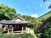 순천여행 히든 명소! 인생샷 촬영지 순천 초연정 원림