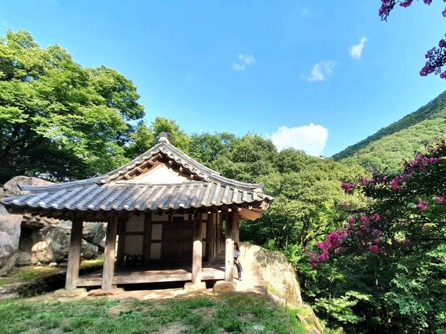 순천여행 히든 명소! 인생샷 촬영지 순천 초연정 원림