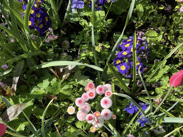 Claude Monet's House and Gardens - Giverny