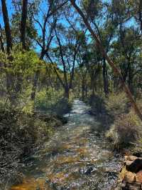🌄 Kalamunda National Park – Nature’s Hidden Retreat Near Perth
