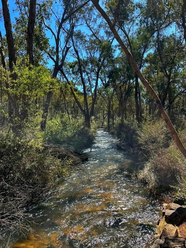 🌄 Kalamunda National Park – Nature’s Hidden Retreat Near Perth
