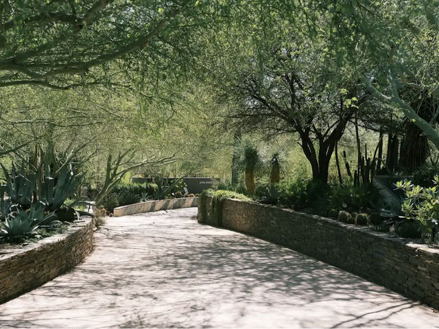 Desert Botanical Garden