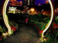The Living Tapestry of Dr. Laurinda M. Esparteiro Garden