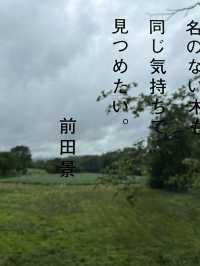 北海道美瑛町—拓真館