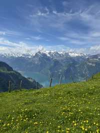 ⛰️ Fronalpstock – จุดชมวิวสุดตระการตา 🇨🇭