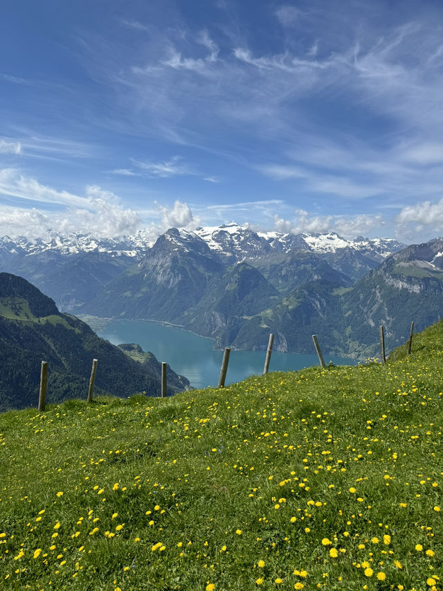 ⛰️ Fronalpstock – จุดชมวิวสุดตระการตา 🇨🇭