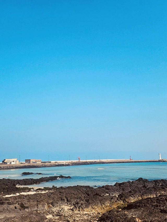 The Iconic Sehwa Coastal Wall and Marketplace