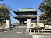 【愛知・覚王山日泰寺】日本唯一！宗派を超えたお釈迦さまの寺🕊️
