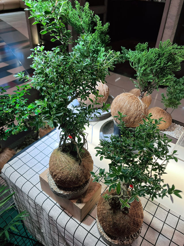 KK Décor Creation –  Haven for Plant Lovers and Greenery Enthusiasts