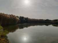 Autumn Scenery of Xihai Fishing Harbor's Water Town