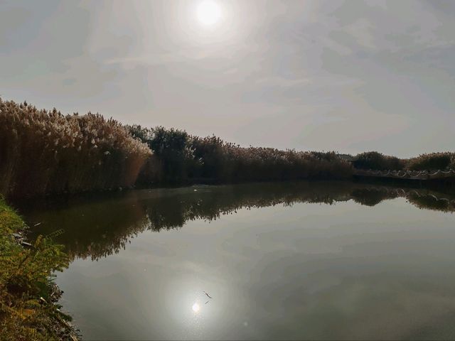 Autumn Scenery of Xihai Fishing Harbor's Water Town