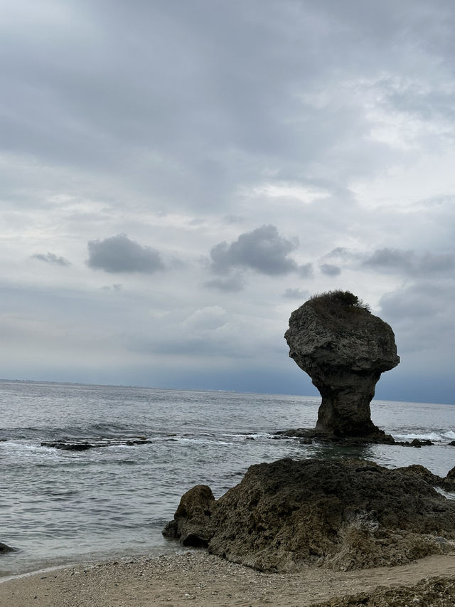 🐚 小琉球陽光海島兩日遊|潛水・獨木舟・電動車環島 🌊☀️ 🐚 小琉球陽光海島兩日遊|潛水・獨木舟・電動車環島 🌊☀️