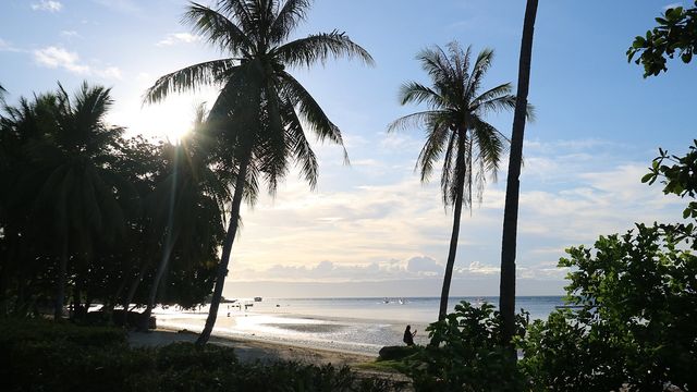 필리핀 보홀 여행 필리핀 보홀 여행