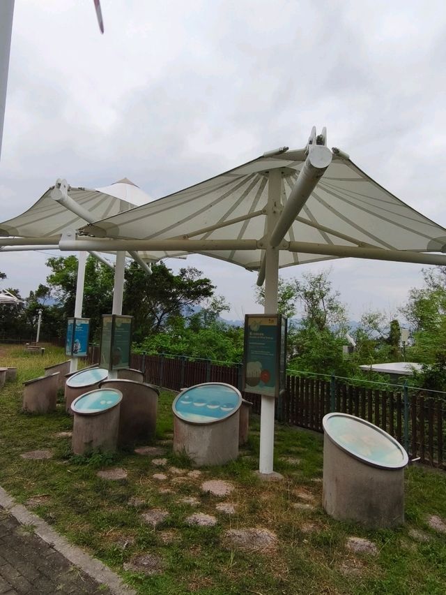 流動畫册下之【南丫島】份外浪漫又具詩意! 流動畫册下之【南丫島】份外浪漫又具詩意!