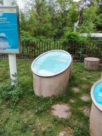 流動畫册下之【南丫島】份外浪漫又具詩意!