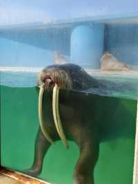 親子必去水族館人氣景點