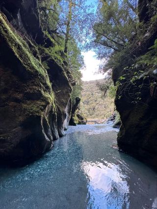 뉴질랜드의 와일드 웨스트 코스트의 심장을 탐험하기