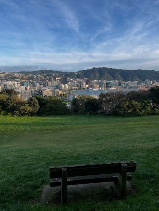 Mount Victoria Lookout Views That Capture the Heart of the City