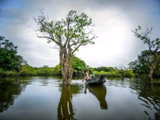 Sylhet Serenity🚣 Bangladesh swamp forest 🌲