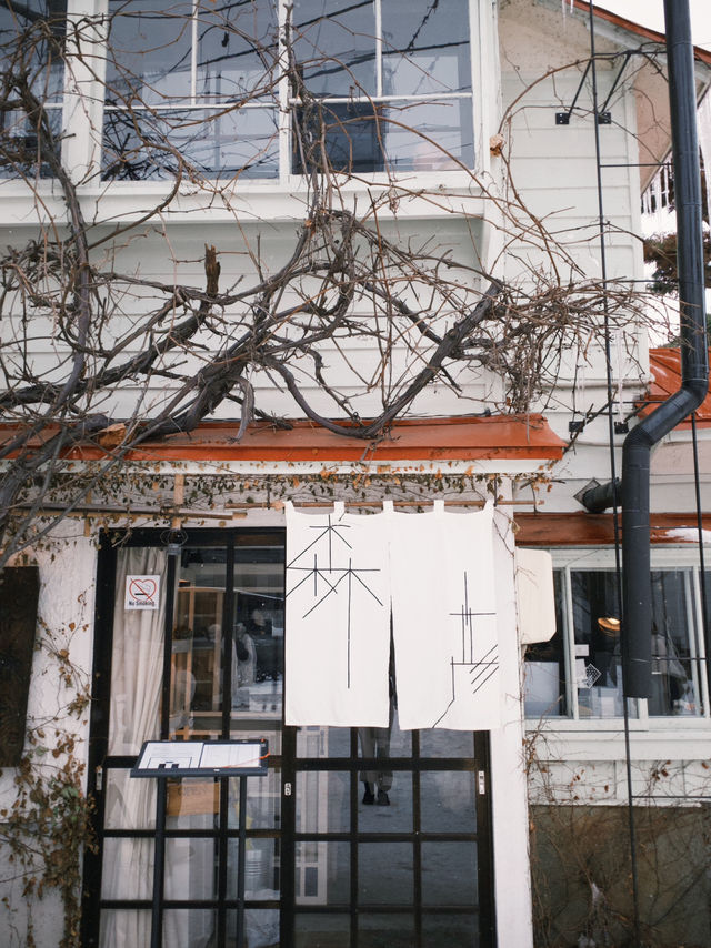 【札幌|冬季最療癒半日】北海道神宮雪參道+神宮茶屋抹茶+森彥咖啡老宅,冬日𥚃的小確幸 【札幌|冬季最療癒半日】北海道神宮雪參道+神宮茶屋抹茶+森彥咖啡老宅,冬日𥚃的小確幸