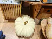 Pumpkin Kitchen: Sweetness and Warmth in Autumn