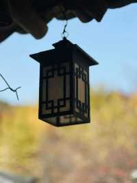 Fall for Korean Folk Village 🍂🎭