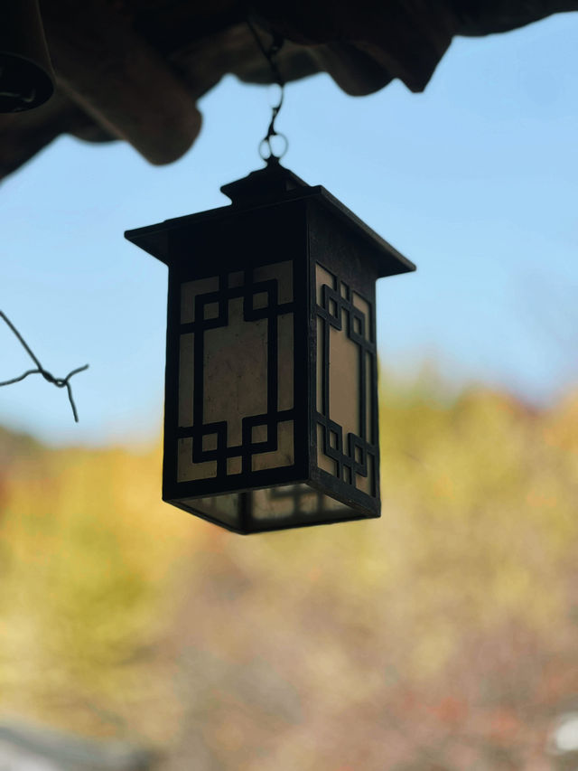 Fall for Korean Folk Village 🍂🎭