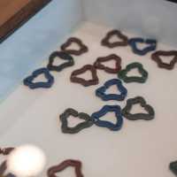 ลานเลโก้ยักษ์ “𝗔𝗤𝗨𝗔 𝗣𝗟𝗔𝗬𝗚𝗥𝗢𝗨𝗡𝗗”