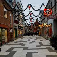 🇩🇰 Den Gamle By (The Old Town): Time Travel in Aarhus