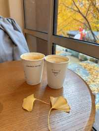 🍂 黃金城道步道｜銀杏滿開的季節 Manner有最佳窗景！