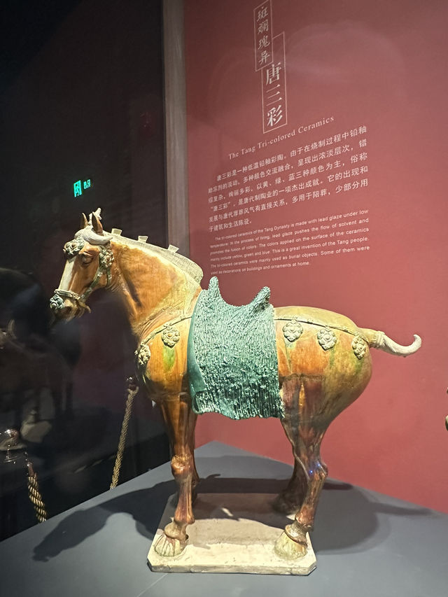 History Unearthed✨