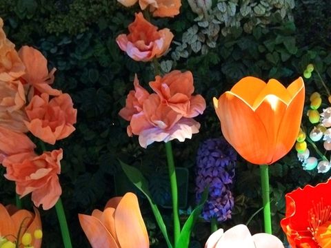 พื้นที่การจัดโซนดอกไม้ที่ NEXTOPIA สยามพารากอน พื้นที่การจัดโซนดอกไม้ที่ NEXTOPIA สยามพารากอน