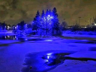 🌳 Centennial Park – Moncton’s Green Escape