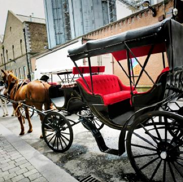 Dublin Family Vacation