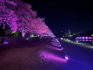 🏞️ 富巖運河岩水公園：夜晚的醉人美景 🌌✨