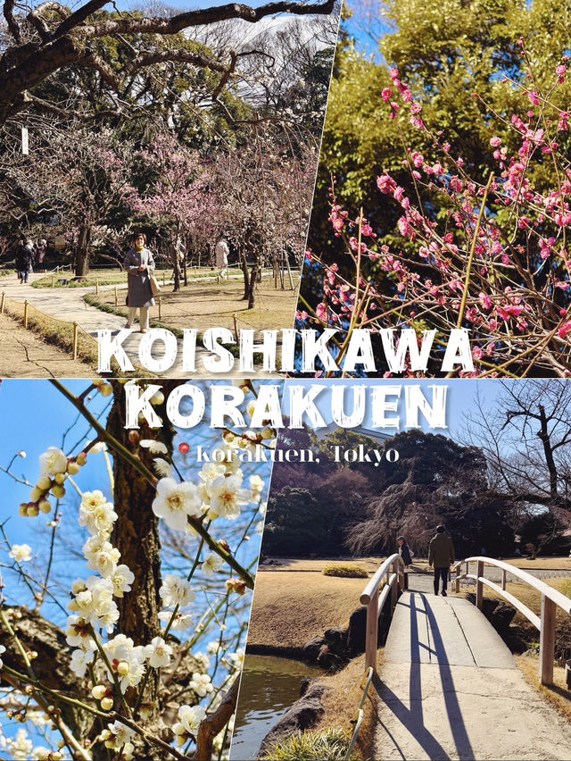 Winter Silence Broken by the First Plum Blossoms Winter Silence Broken by the First Plum Blossoms